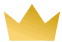 Pro-icon